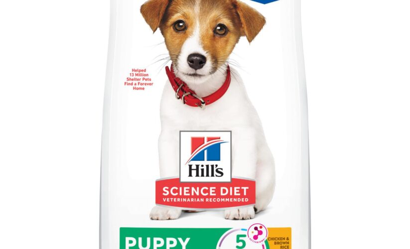 Best 5 Hill’s Science Diet Puppy Options to Boost Child’s Growth in 2025