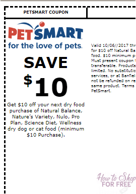 Practical Guide to Using Science Diet Coupons for Better Pet Nutrition in 2025