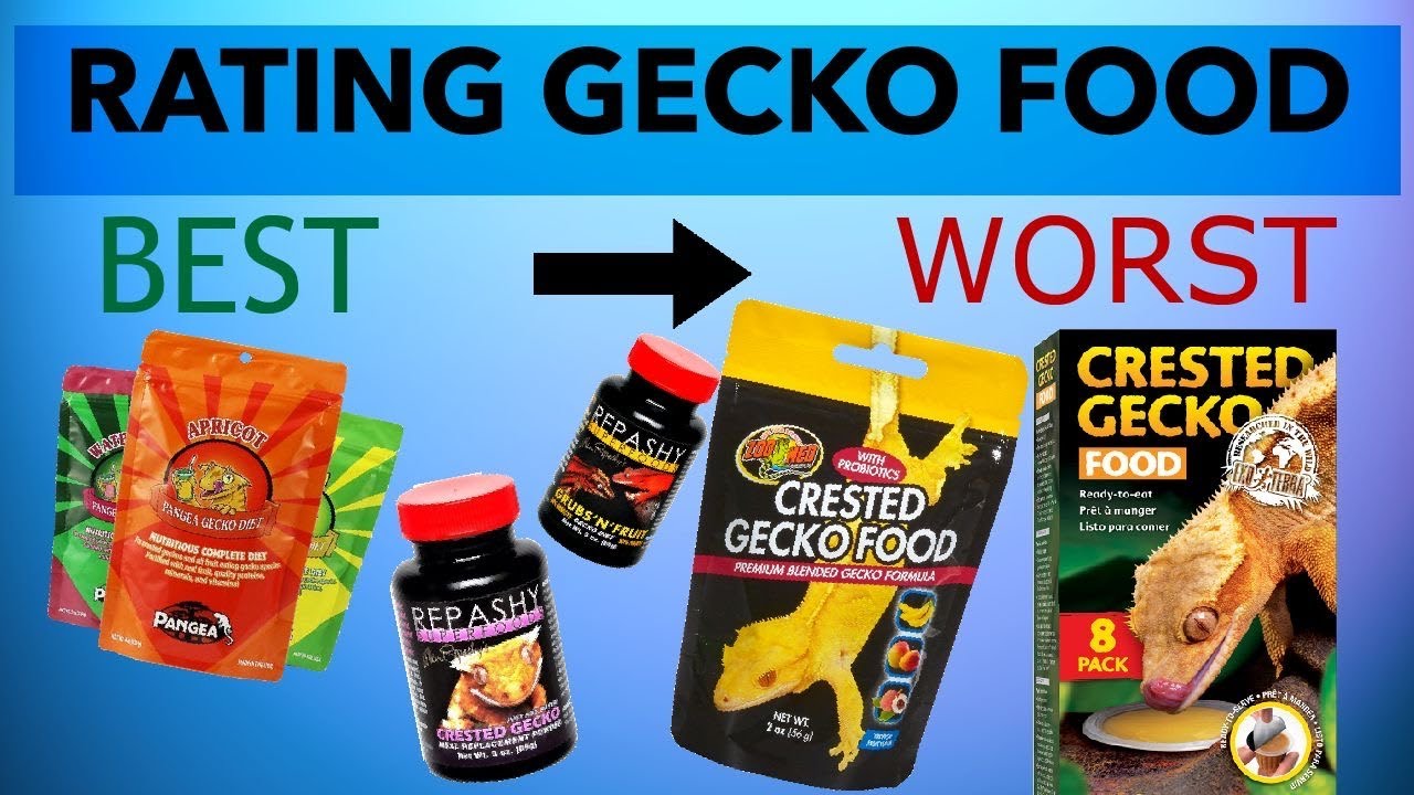 Effective Way to Enhance Your Crested Gecko Diet in 2025: Get Started for a Healthier Pet!