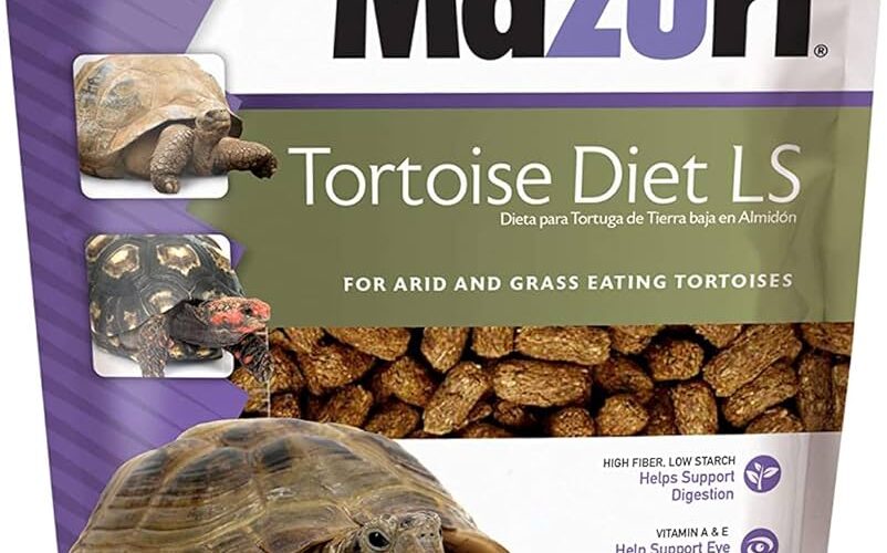 Essential Guide to Mazuri Tortoise Diet for Optimal Health in 2025