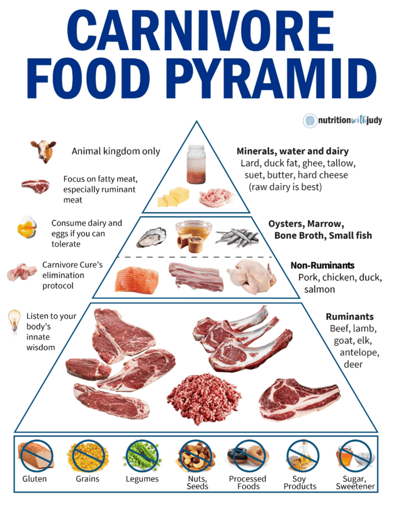 Essential Guide to 10 Proven Carnivore Diet Recipes to Boost Your Health in 2025