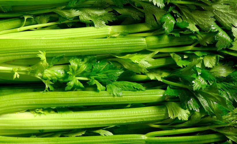 Top 5 Proven Celery Benefits for Sexual Health in 2025: Discover How It Enhances Your Performance!