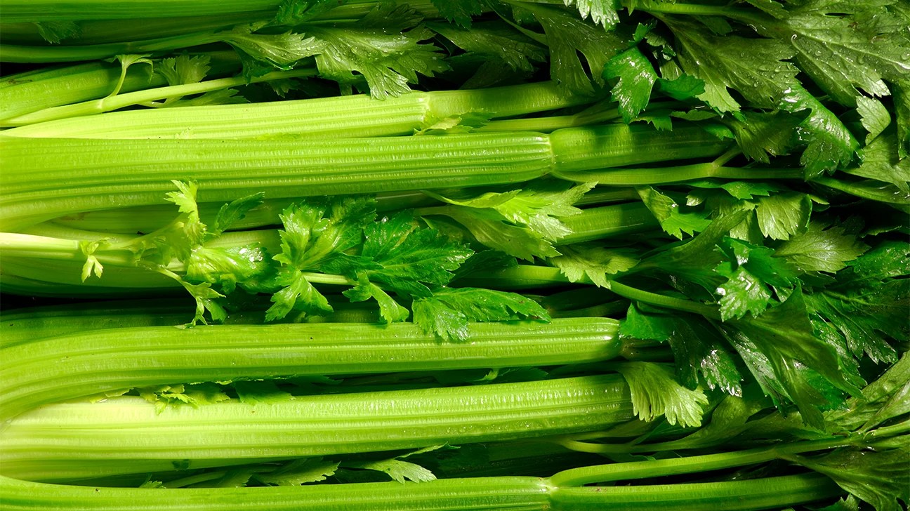 Top 5 Proven Celery Benefits for Sexual Health in 2025: Discover How It Enhances Your Performance!