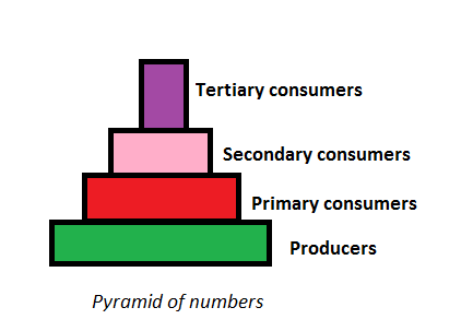 Effective Ways to Create a Pyramid of Numbers: Proven Methods for Success in 2025