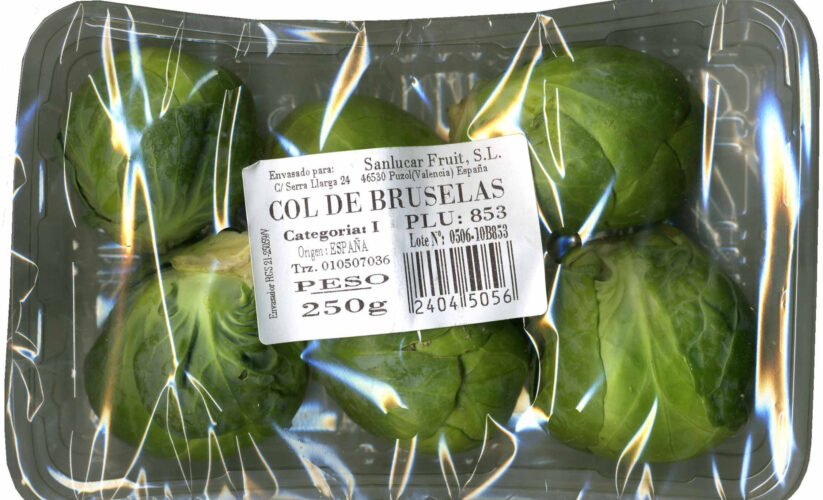 Mejores 7 maneras de usar coles de Bruselas en tus recetas actuales