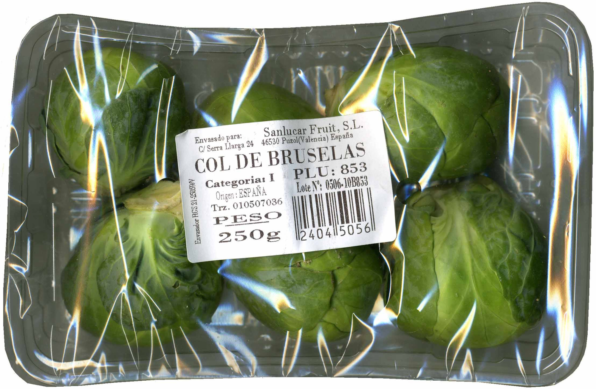 Mejores 7 maneras de usar coles de Bruselas en tus recetas actuales