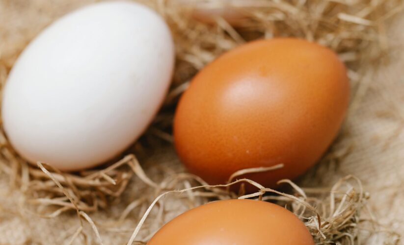 How to Optimize Protein Intake with 6 Eggs for Effective Muscle Growth in 2025